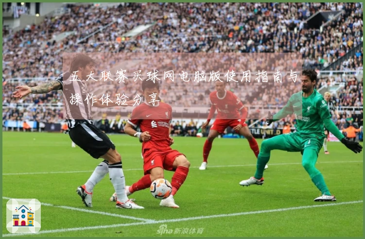 五大联赛买球网电脑版使用指南与操作体验分享
