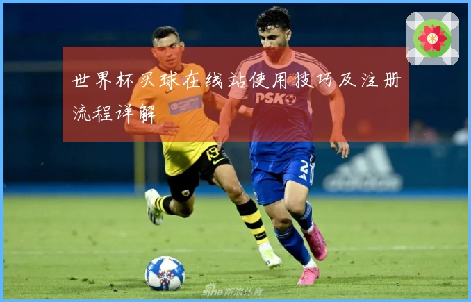 世界杯买球在线站使用技巧及注册流程详解