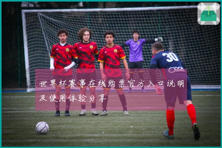 世界杯赛事在线购票官方入口说明及使用体验分享
