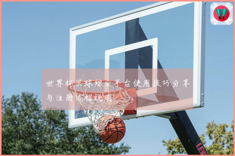 世界杯买球综合平台使用技巧分享与注册流程说明