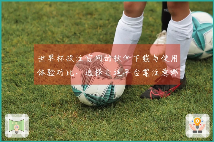 世界杯投注官网的软件下载与使用体验对比，选择合适平台需注意哪些要点