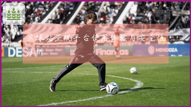 买球站正规平台使用体验与安全性分析