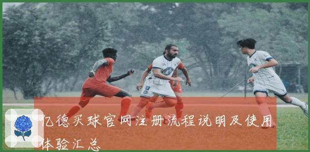 亿德买球官网注册流程说明及使用体验汇总