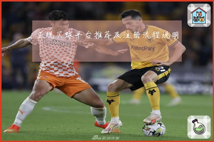 正规买球平台推荐及注册流程说明