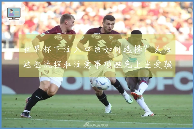 世界杯下注入口该如何选择？关注这些流程和注意事项避免上当受骗