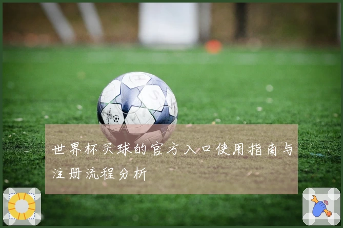 世界杯买球的官方入口使用指南与注册流程分析