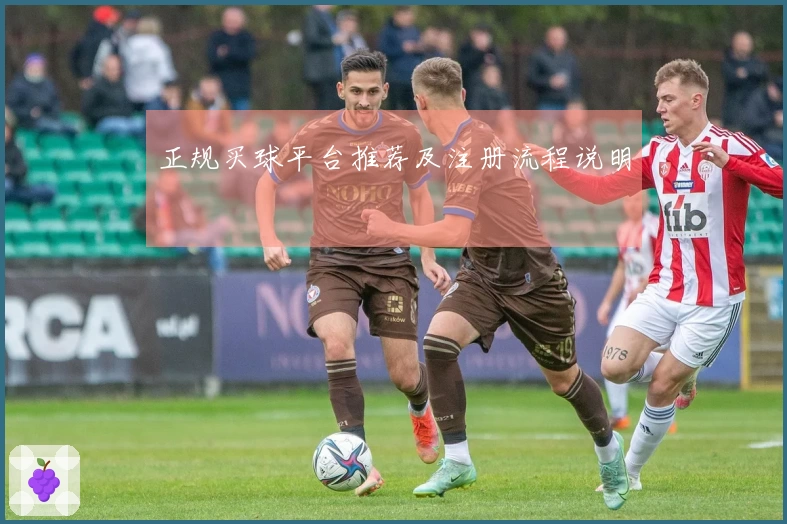 正规买球平台推荐及注册流程说明