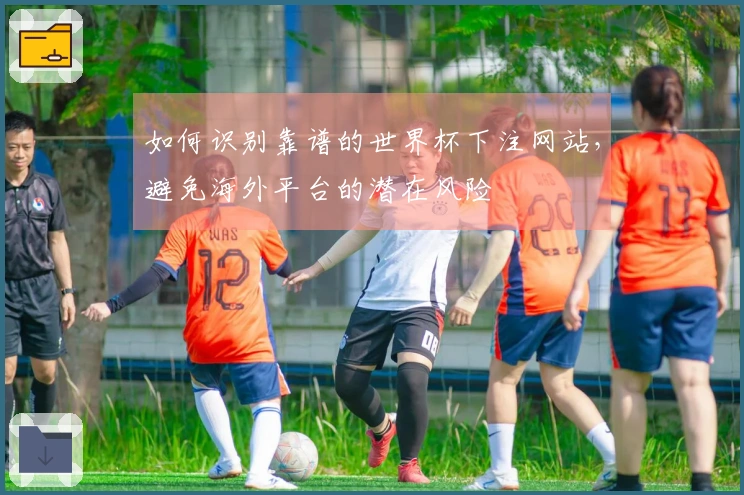 如何识别靠谱的世界杯下注网站，避免海外平台的潜在风险