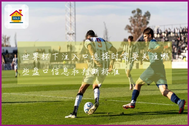 世界杯下注入口选择时需要关注哪些盘口信息和判断标准