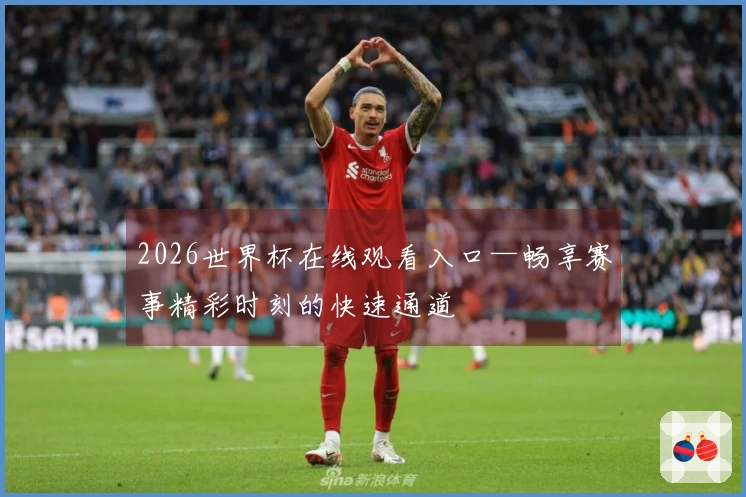 2026世界杯在线观看入口—畅享赛事精彩时刻的快速通道