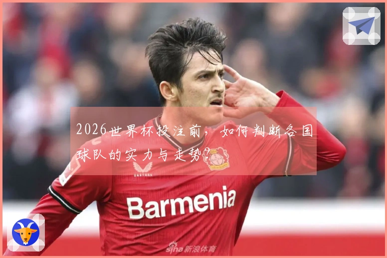 2026世界杯投注前，如何判断各国球队的实力与走势？