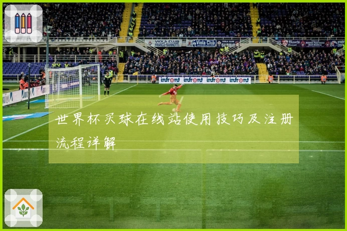 世界杯买球在线站使用技巧及注册流程详解