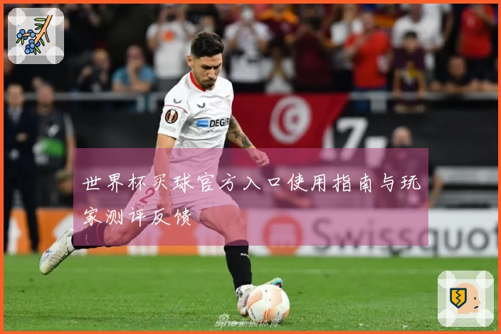 世界杯买球官方入口使用指南与玩家测评反馈
