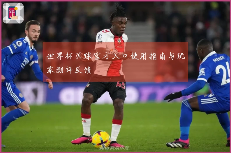 世界杯买球官方入口使用指南与玩家测评反馈