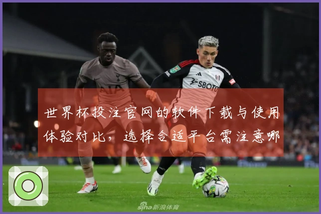 世界杯投注官网的软件下载与使用体验对比,选择合适平台需注意哪些要点