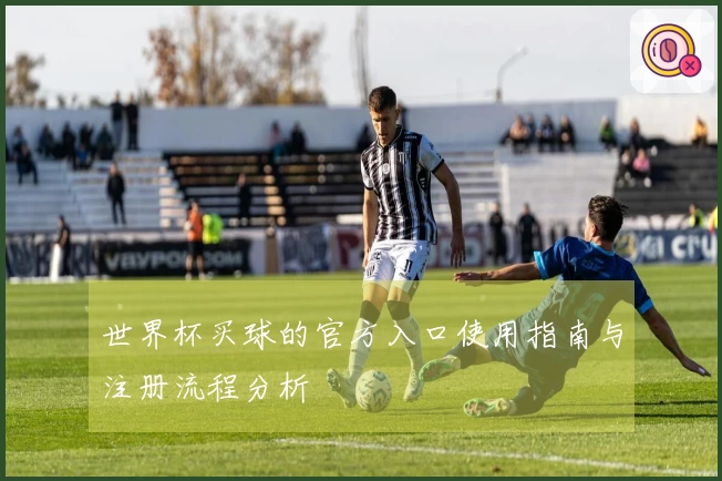 世界杯买球的官方入口使用指南与注册流程分析